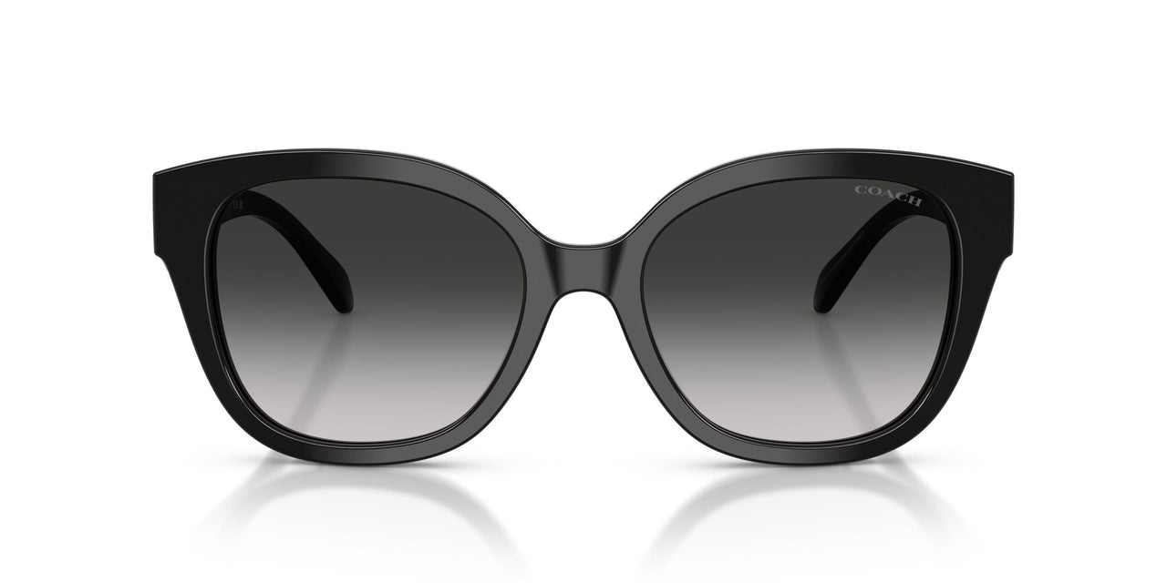 500287 - Black - Grey Gradient