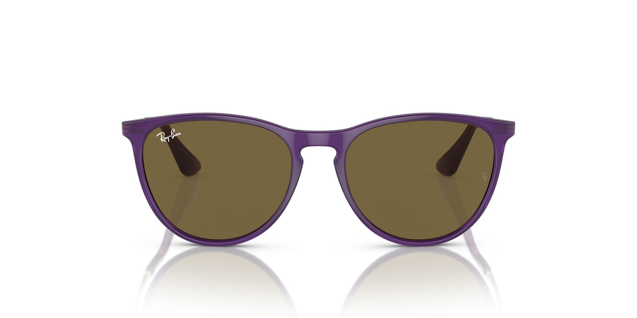 713173 - Violet - Dark Brown