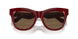 411973 - Red - Dark Brown