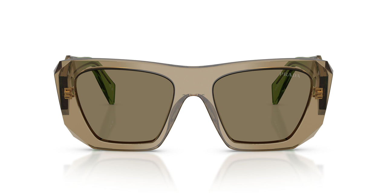 29E90F - Brown - Light Brown