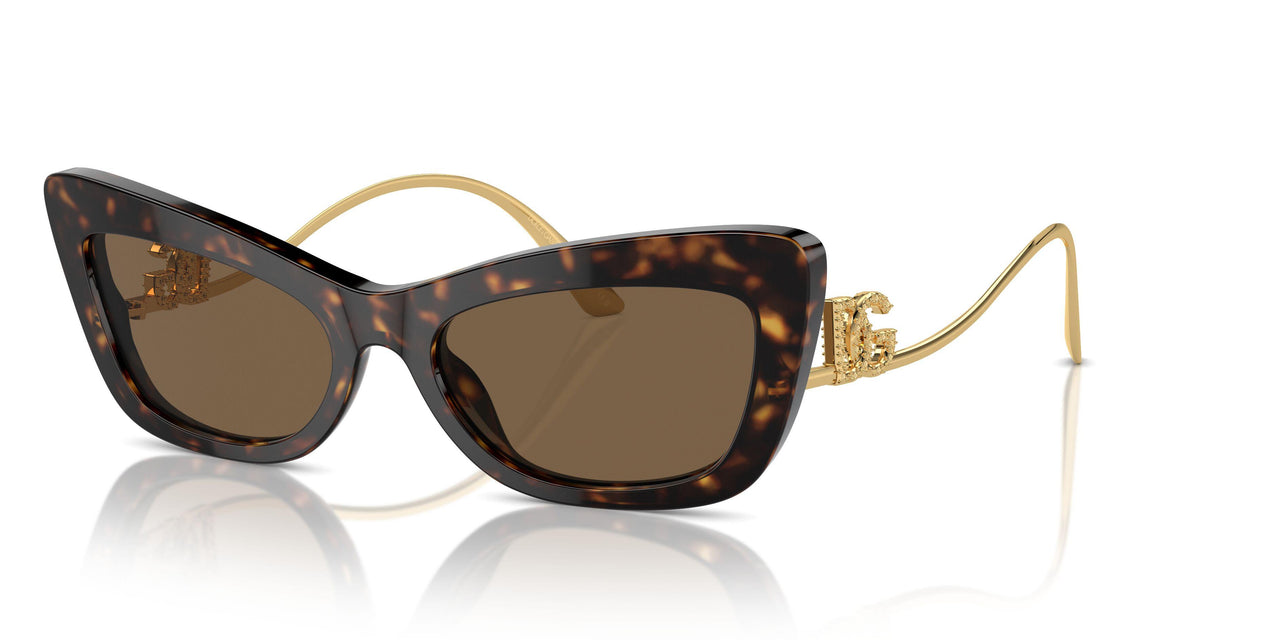 502/73 - Tortoise - Dark Brown