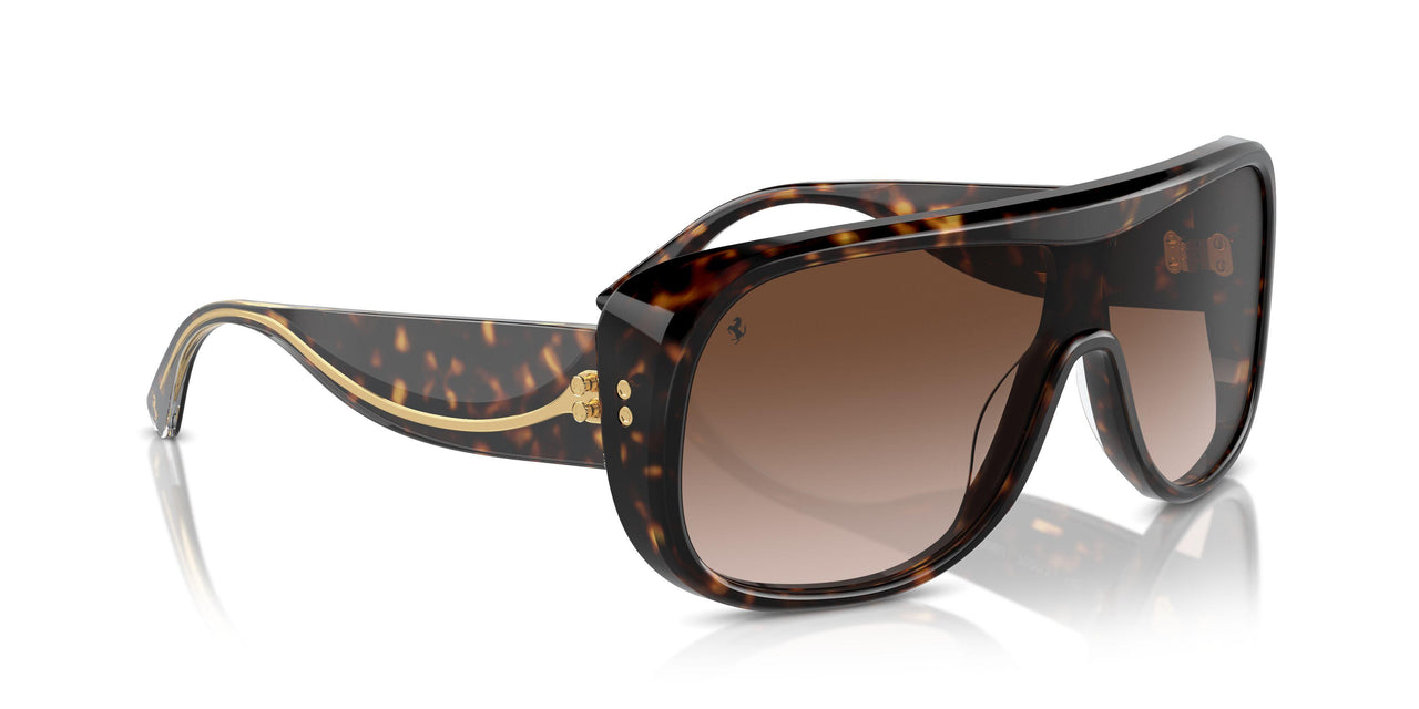 702/13 - Tortoise - Gradient Brown