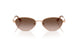 300813 - Gold - Brown Gradient