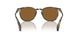 171353 - Brown - True Brown