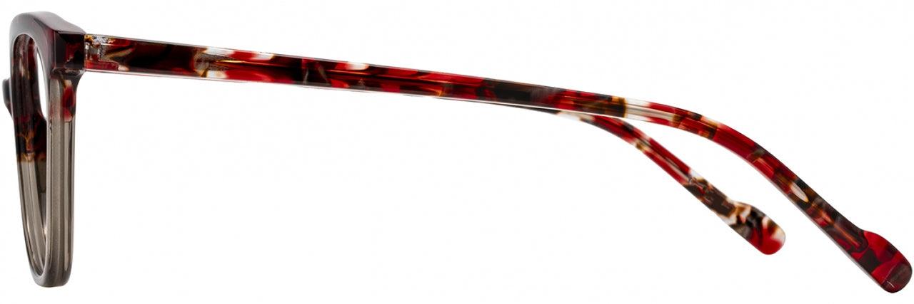 2 - Cherry Tortoise / Shadow