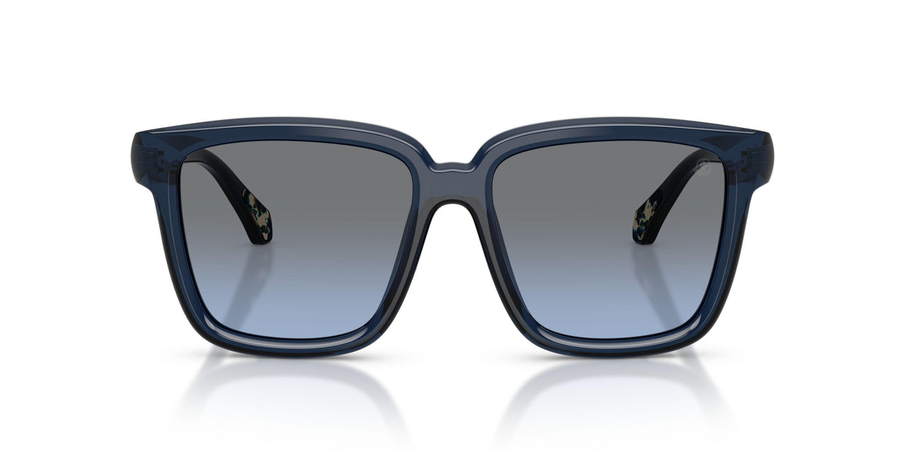 30478F - Blue - Gradient Blue