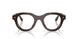 64321W - Brown - Clear