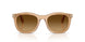 116985 - Brown - Light Brown Gradient Dark Brow