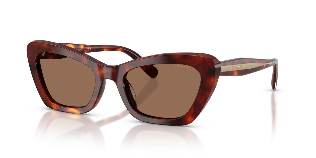 593873 - Tortoise - Brown Solid