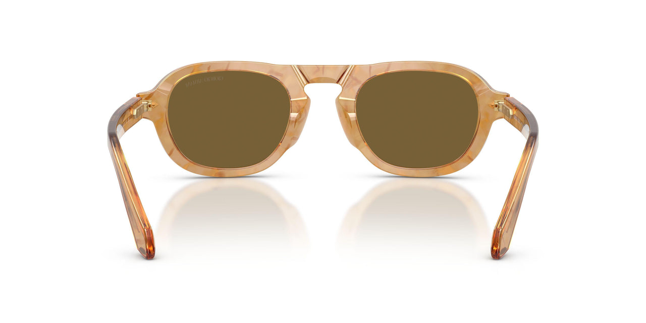 630073 - Tortoise - Dark Brown