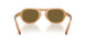 630073 - Tortoise - Dark Brown