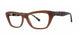 MNKTLTRTS - Mink/Teal Tortoise
