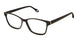Fysh F-3756 Eyeglasses