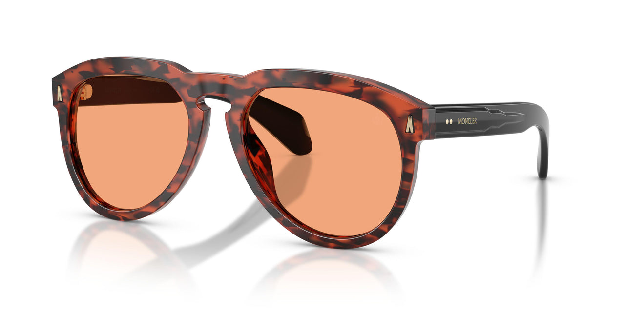 303674 - Tortoise - Solid Orange
