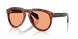 303674 - Tortoise - Solid Orange
