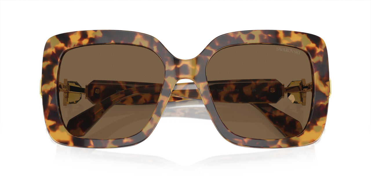104073 - Tortoise - Dark Brown