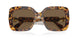 104073 - Tortoise - Dark Brown