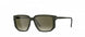 5560 - Dark Olive - Olive Green Gradient