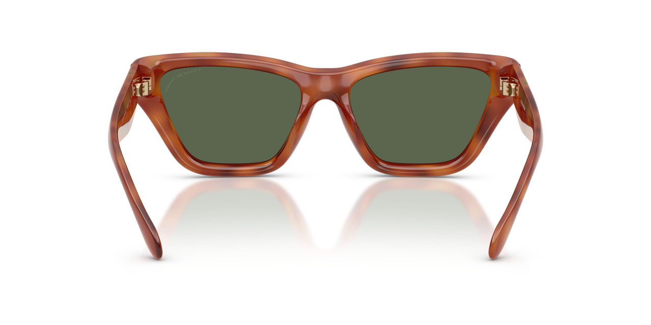 57749A - Tortoise - Green Solid Polarized