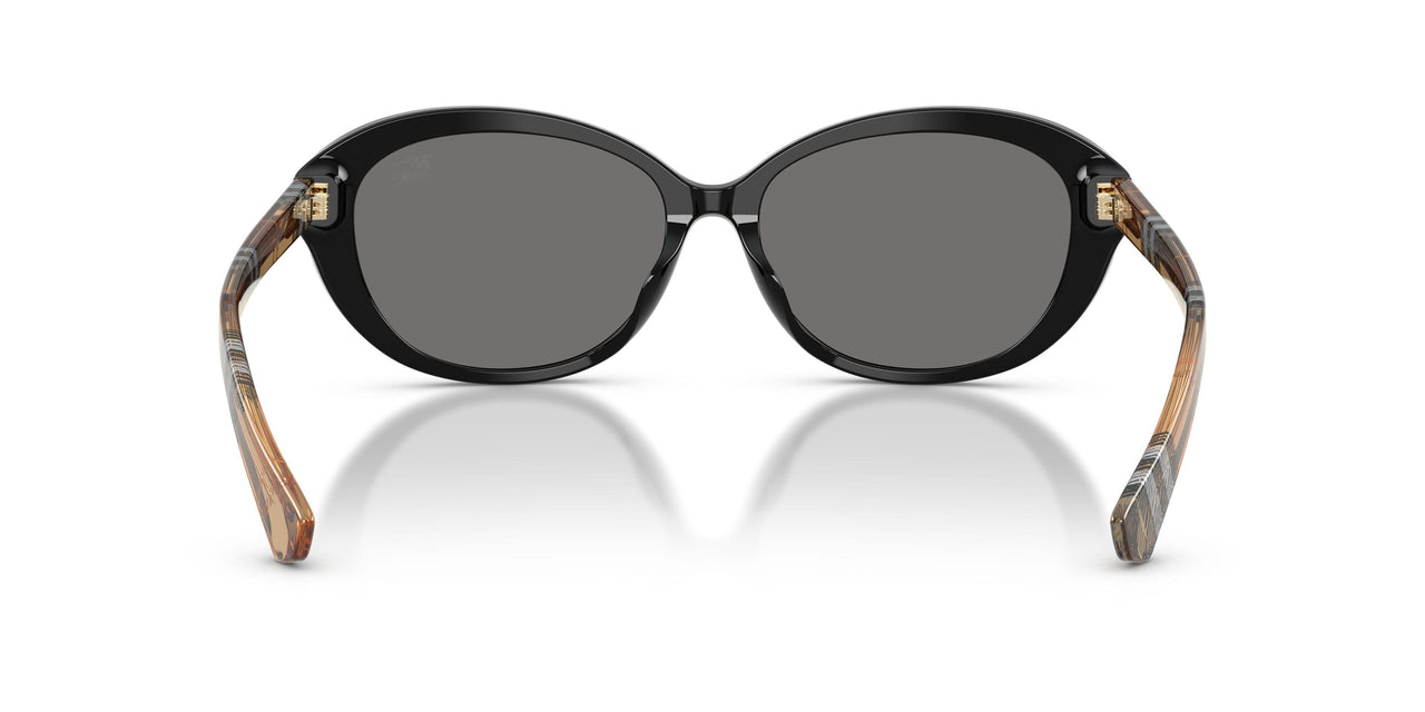 416181 - Black - Dark Grey Polarized