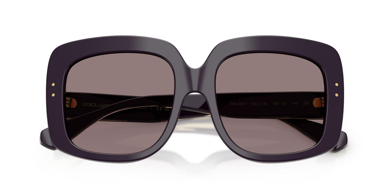 35017N - Violet - Dark Purple
