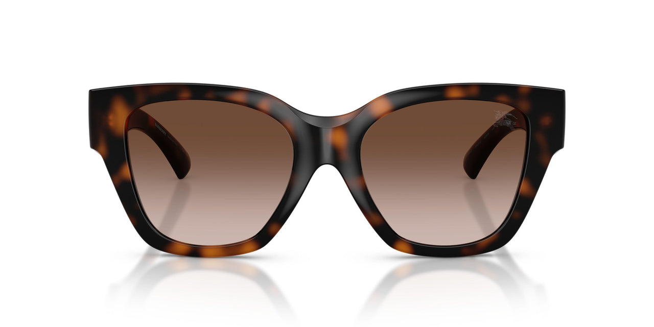 300213 - Brown - Brown Gradient