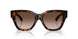 300213 - Brown - Brown Gradient