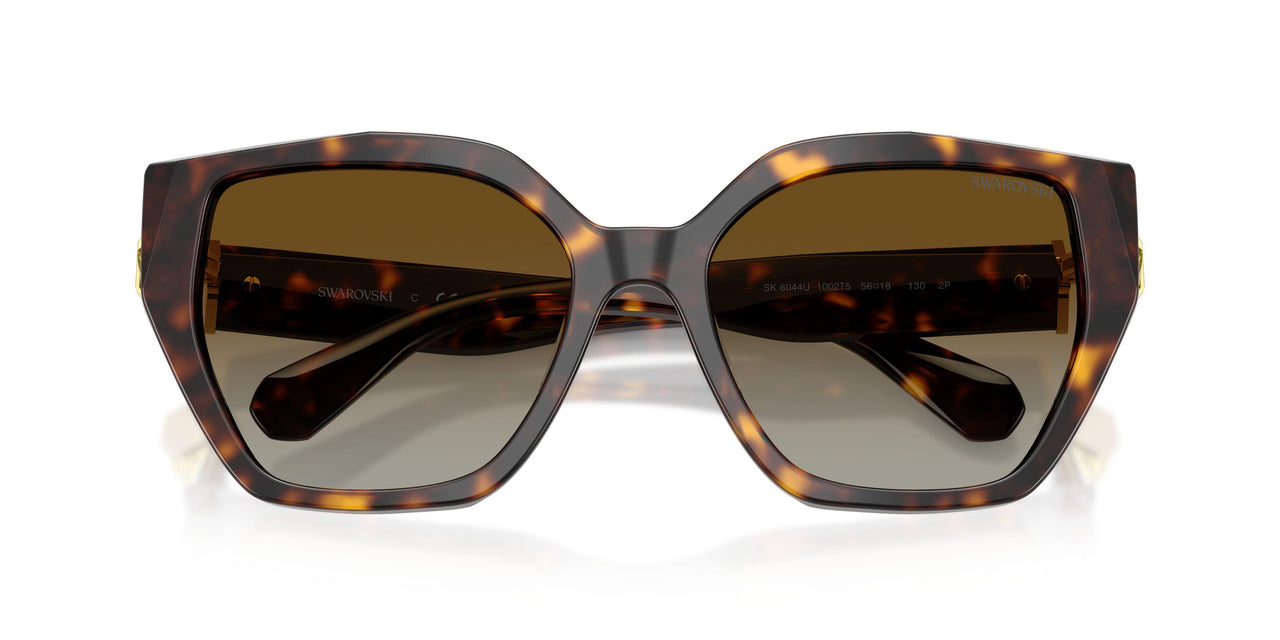1002T5 - Tortoise - Brown Gradient Polar