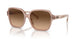 611474 - Brown - Gradient Brown