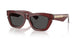 412887 - Red - Dark Grey