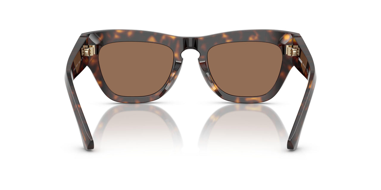 300273 - Brown - Dark Brown