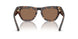 300273 - Brown - Dark Brown