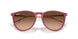 6815A5 - Violet - Pink Gradient Brown