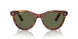954/58 - Brown - Green