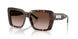 500213 - Tortoise - Brown Gradient