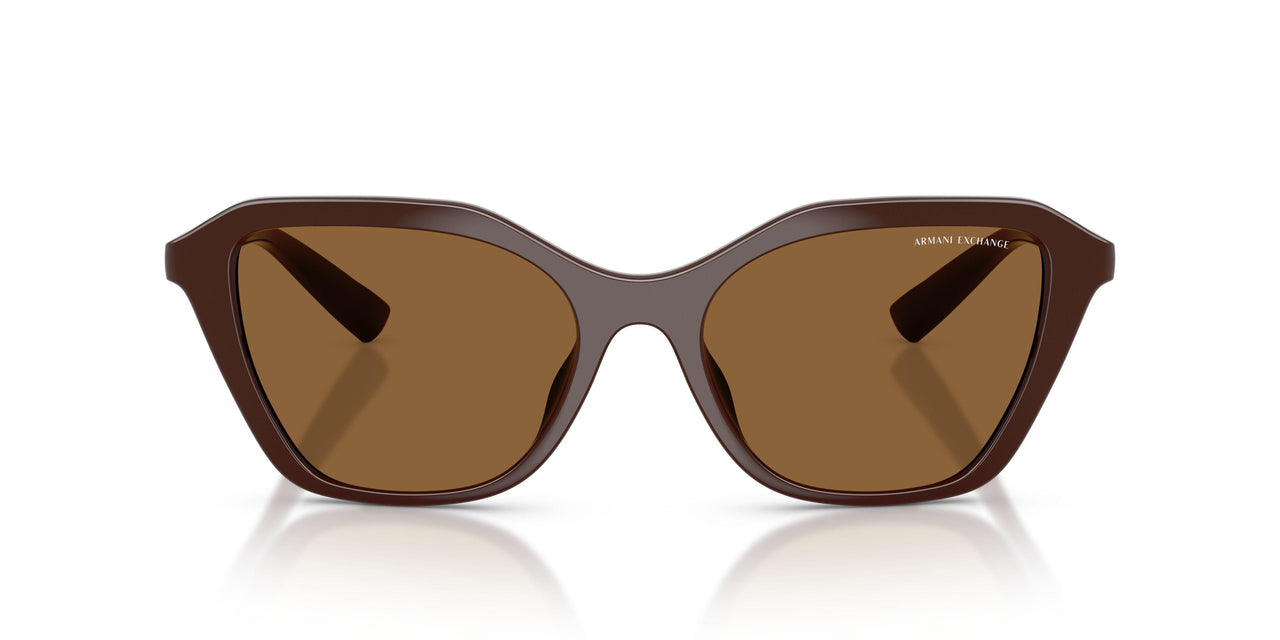 841473 - Brown - Brown