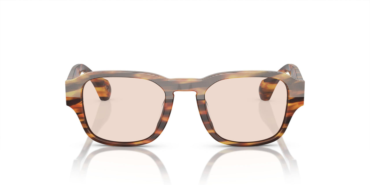 004 - Brown