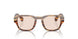 004 - Brown