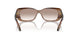 307113 - Brown Horn - Clear Gradient Brown