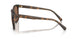 512073 - Tortoise - Brown Solid