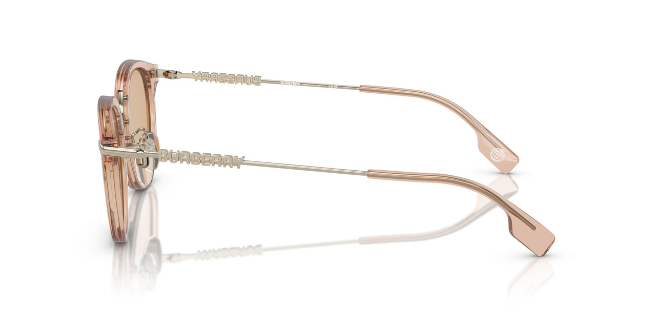 407273 - Brown - Light Brown