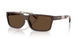 423473 - Brown - Dark Brown