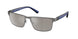 Polo 3155 Sunglasses