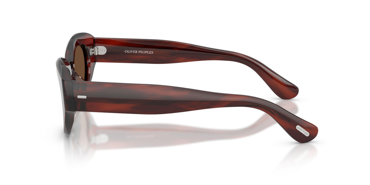 1818AN - Brown - Terra Polarized