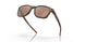 901805 - Havana - Prizm Tungsten Polarized