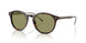 587914 - Tortoise - Green