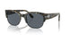 1071R5 - Tortoise - Blue