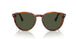 115731 - Brown - Green
