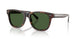 500371 - Tortoise - Bottle Green