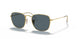 9196R5 - Gold - Blue
